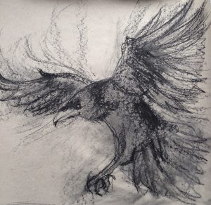 135-Raven/charcoal 30 X 30cm