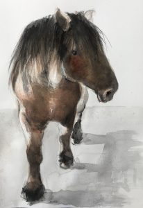 206 Horse/aquarel 30 X 40cm