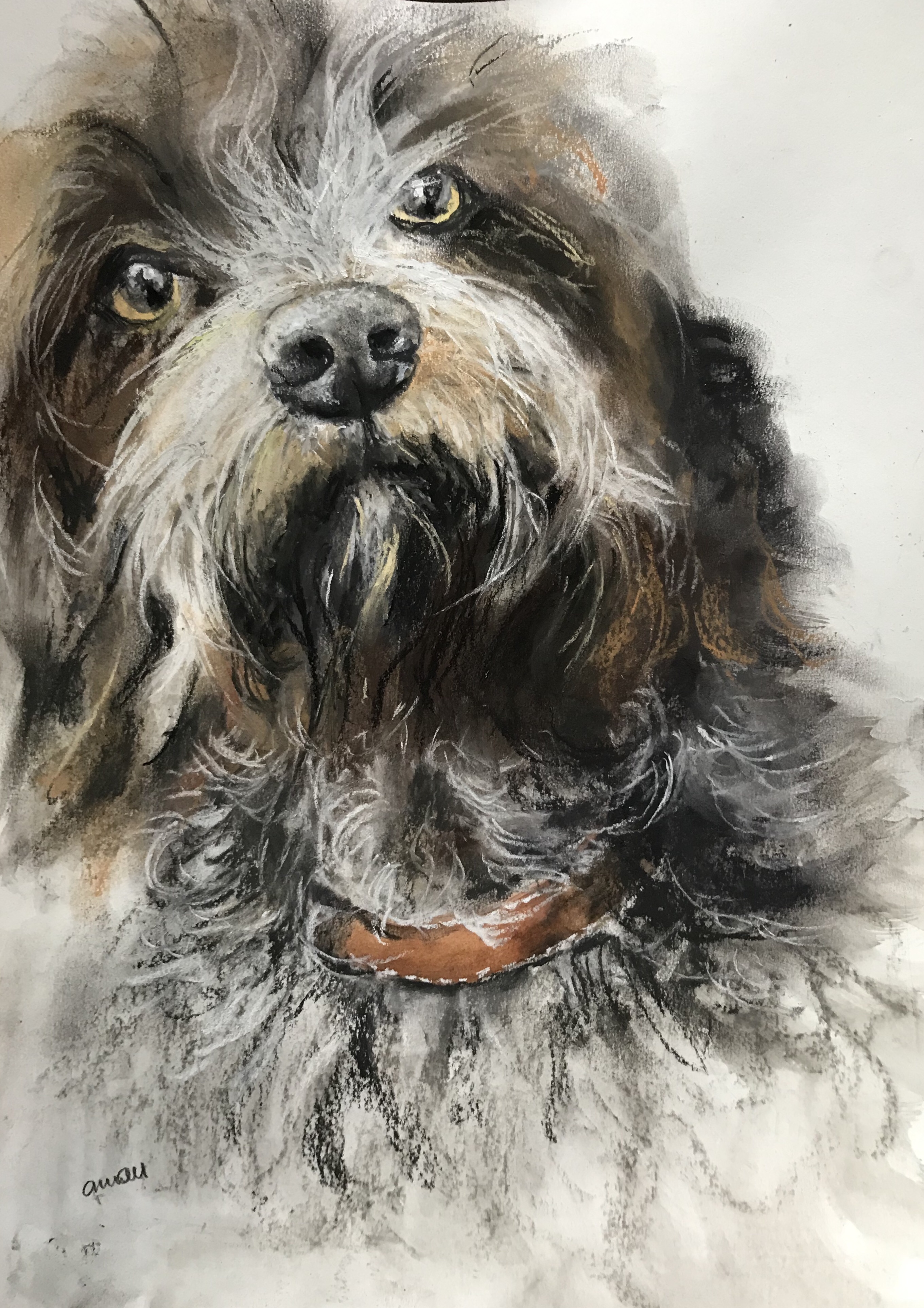 253-doggy aquarel/pastel 30x40cm